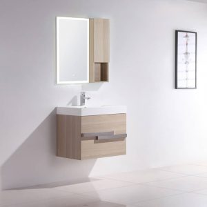 021 Series- 24 Inch Bathroom Vanity
